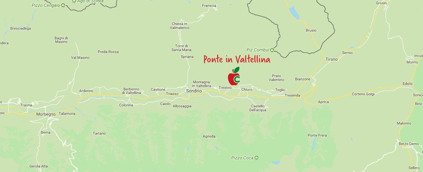 La distribuzione dei meleti di Carino Mele in Valtellina